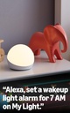 Echo Glow – Lámpara inteligente multicolor, Compatible con Alexa