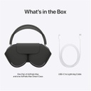  Apple AirPods Max