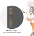 GAOMON M10K - Tableta de dibujo, tableta gráfica grande de 10 x 6 pulgadas con anillo táctil, 8192 niveles sin batería, 10 teclas de acceso rápido, tableta artística para diseño, escritura, edición,